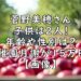 菅野美穂　子供　何人　年齢　性別　幼稚園