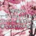 櫻坂46 オーディション 新メンバー募集 画像